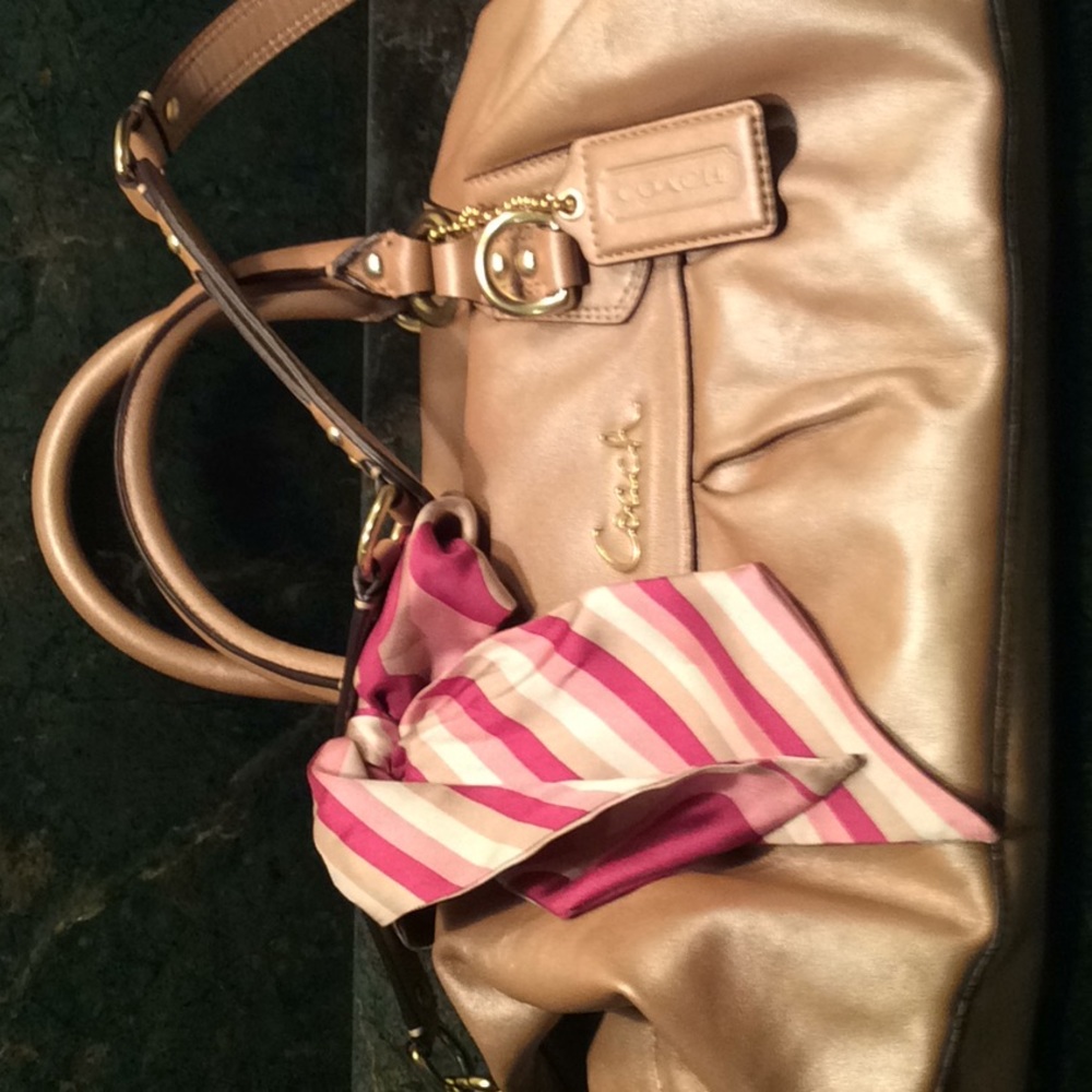 Coach satchel in light bronze with lilac lining.